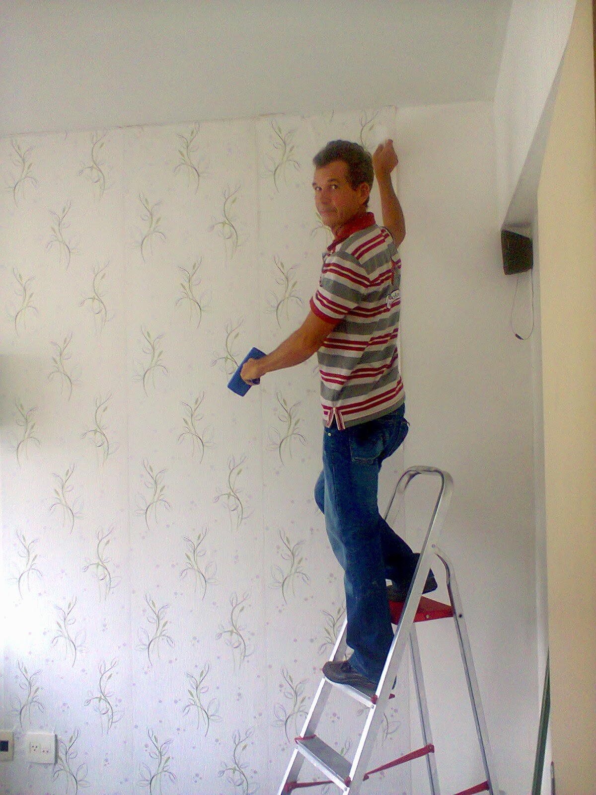 Roberto Instalador de papel de parede - Óbidos - Réparation de papier peint