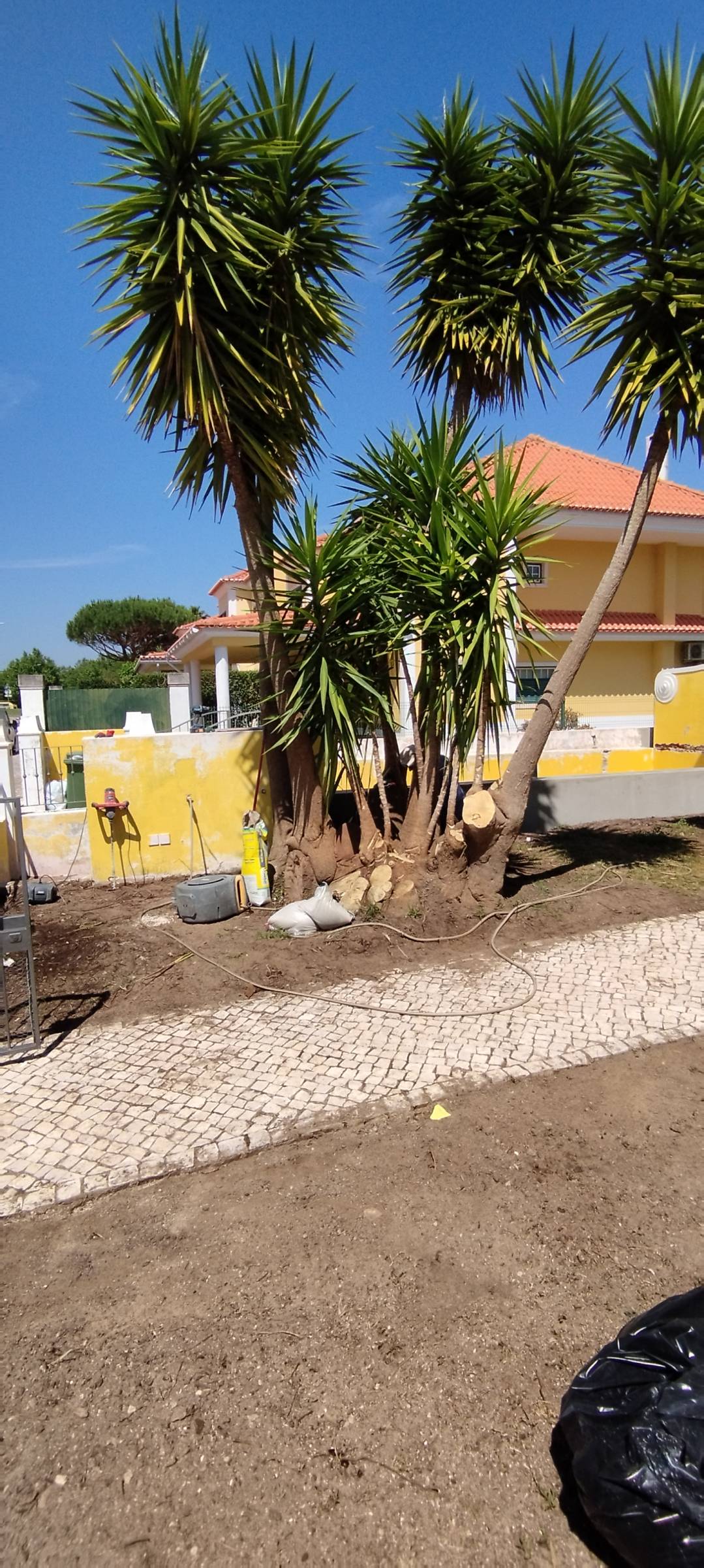 A.xavier  Remodelações - Odivelas - Floor Tiling