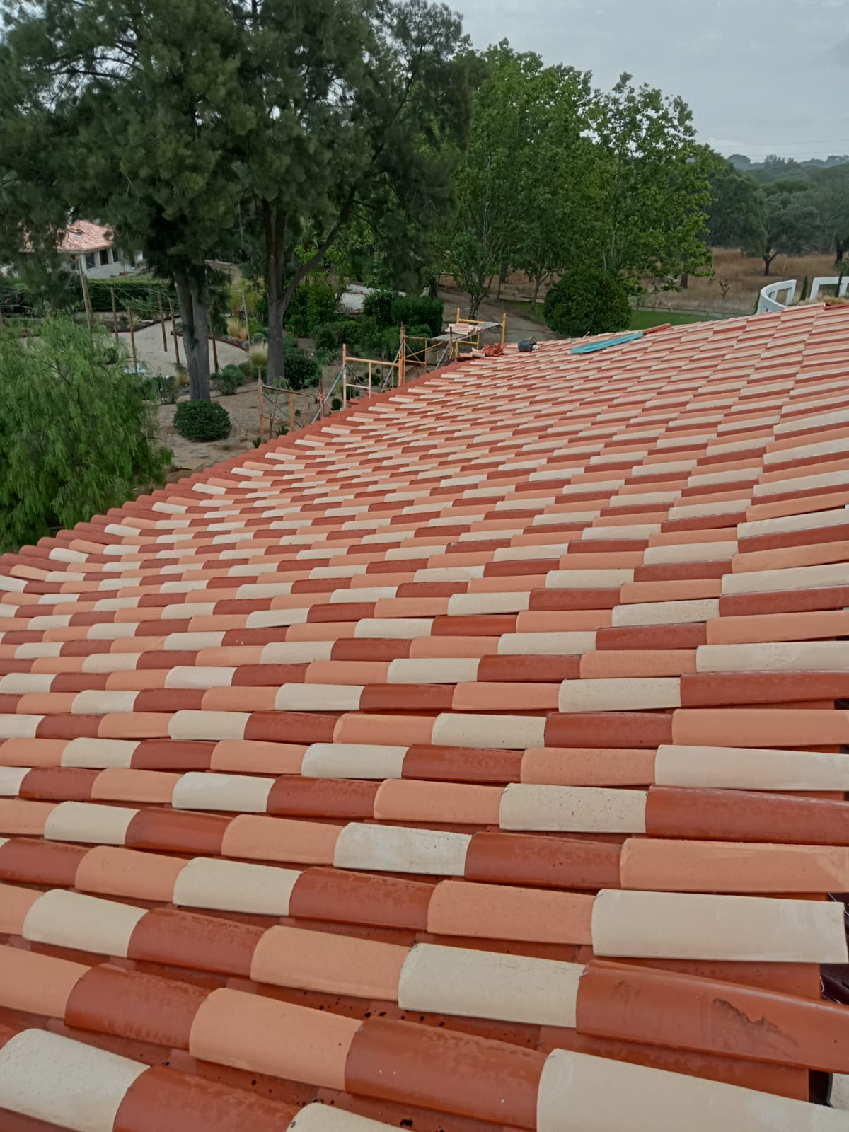 Tribo Salgada Construção Unipessoal LDA - Caldas da Rainha - Mudjacking