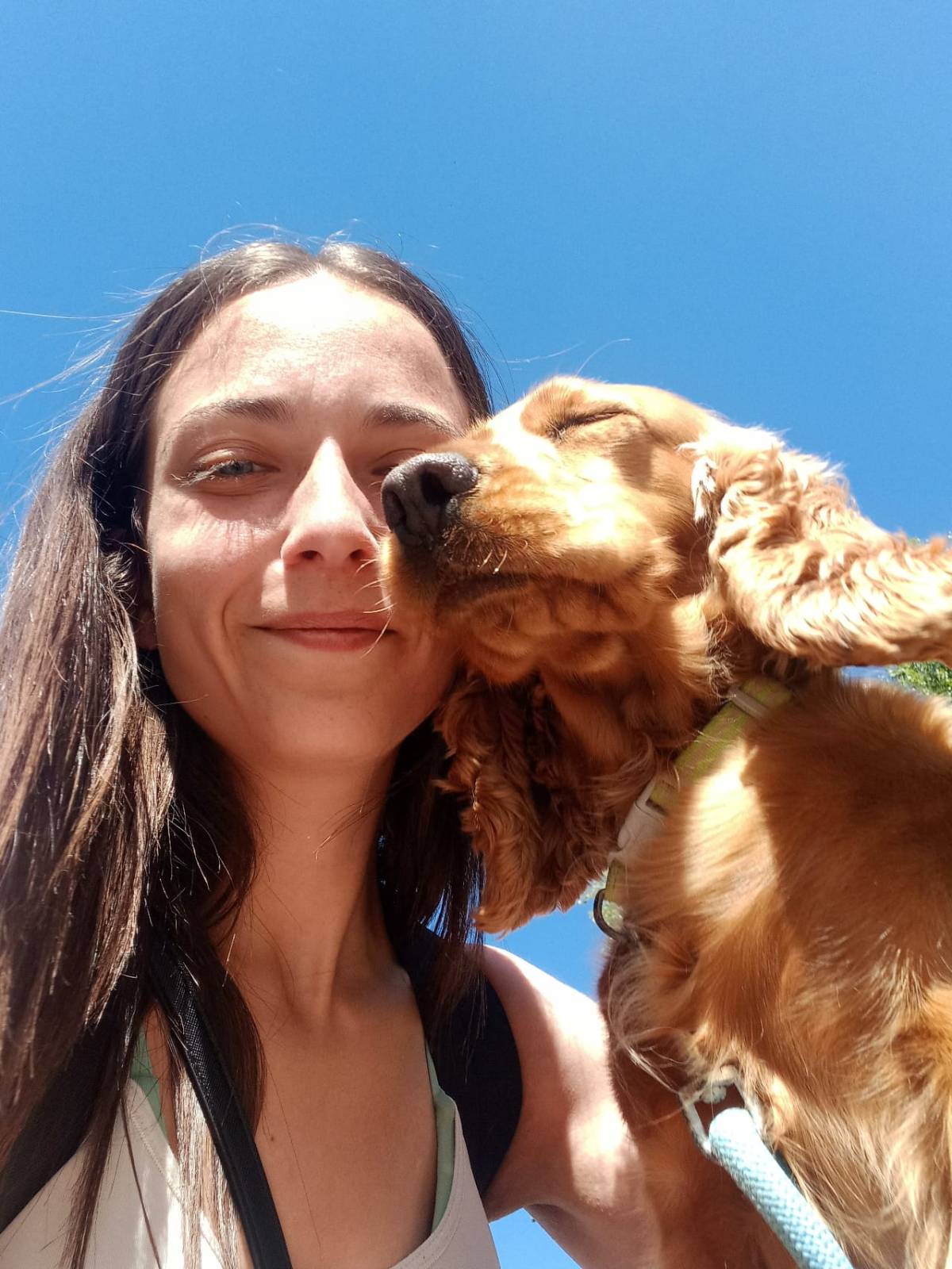 Nós e os Patudos - Matosinhos - Pet Sitting and Walking