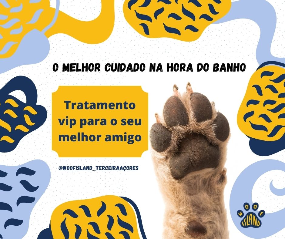 Amanda Della Dea - Viana do Castelo - Presentation Services