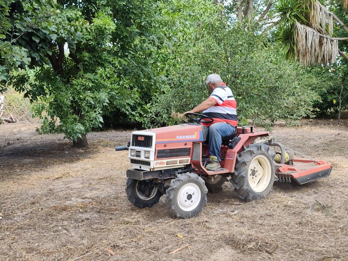 Jardins do Oeste - Torres Vedras - Shrub Removal