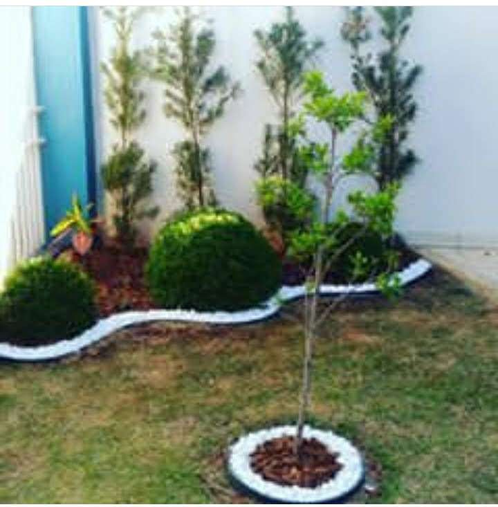 Ebenezer Pires de Carvalho - Vidigueira - Drip Irrigation System Maintenance