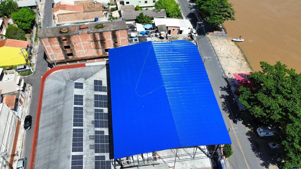 O especialista Pedro Barbosa - Odivelas - Gates Installation or Repair