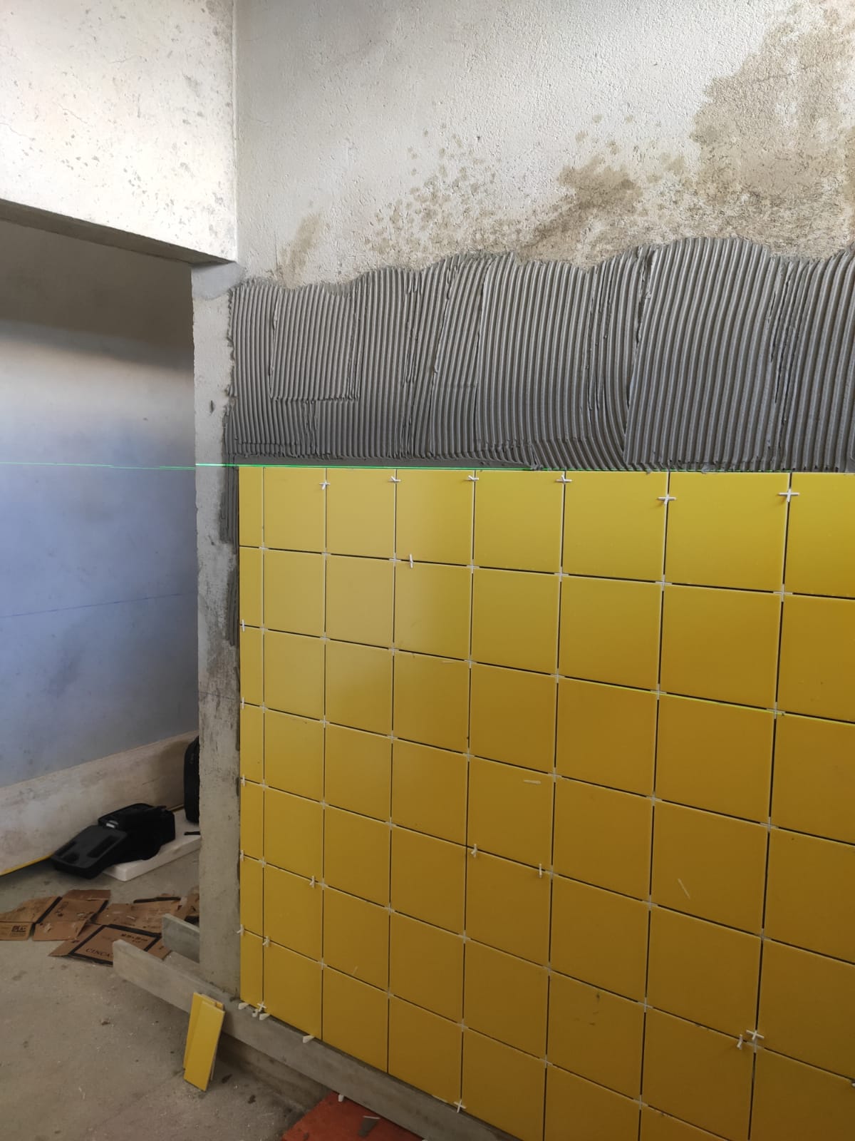 Tribo Salgada Construção Unipessoal LDA - Caldas da Rainha - Roof Cleaning
