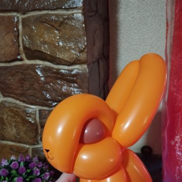 Daniela Veloso - Gondomar - Arte com Balões