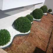 Ebenezer Pires de Carvalho - Vidigueira - Lawn Mowing and Trimming