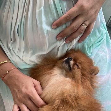 Manon Yeung - Almada - Pet Sitting