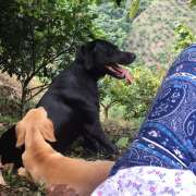 Mayerly Maldonado - Póvoa de Varzim - Dog Walking