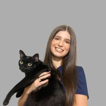 Inês Fernandes - Trofa - Cat Sitting