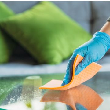 Valéria - Nelas - Property Cleanup