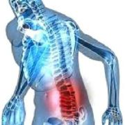 José Lopes - Torres Novas - Sports Massage
