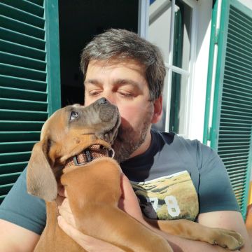 Nuno Matos - Seixal - Haustiere - Pflege