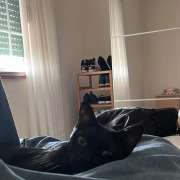 Inês Fernandes - Trofa - Dog Daycare