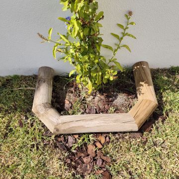 Jardins do Oeste - Torres Vedras - Tree Stump Grinding and Removal