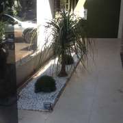 Ebenezer Pires de Carvalho - Vidigueira - Tree Trimming and Maintenance