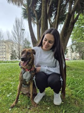 Hotel para Cães