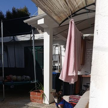 Lu Pet sitting - Almada - Cat Sitting