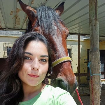 Ana Júlia - Aveiro - Dog Daycare