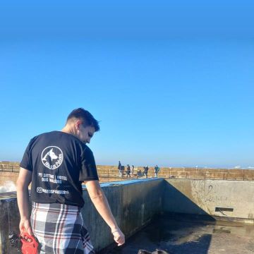 Nós e os Patudos - Matosinhos - Dog Sitting