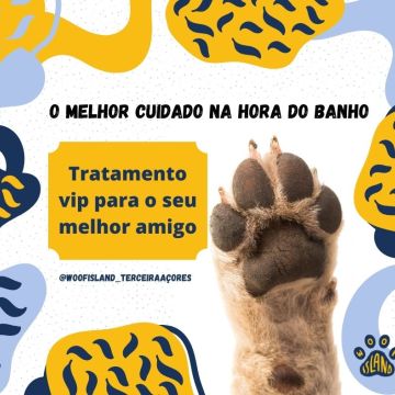 Amanda Della Dea - Viana do Castelo - Presentation Services