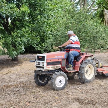 Jardins do Oeste - Torres Vedras - Shrub Removal