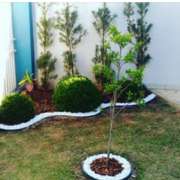 Ebenezer Pires de Carvalho - Vidigueira - Drip Irrigation System Maintenance