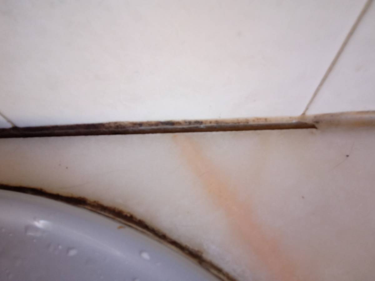 Handyman for Cabinet Repair