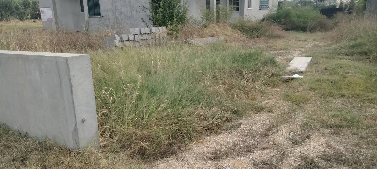 Jorge Pascoal, limpeza de terrenos desmatação e manutenção, sinta-se á vontade pois eu faço por si - Montemor-o-Velho - Remoção de Ervas Daninhas