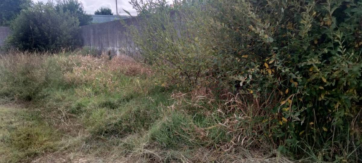 Jorge Pascoal, limpeza de terrenos desmatação e manutenção, sinta-se á vontade pois eu faço por si - Montemor-o-Velho - Entrega de Refeições