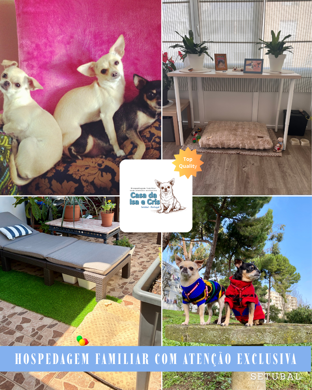 Ana Cristina Costa - Setúbal - Hundepension