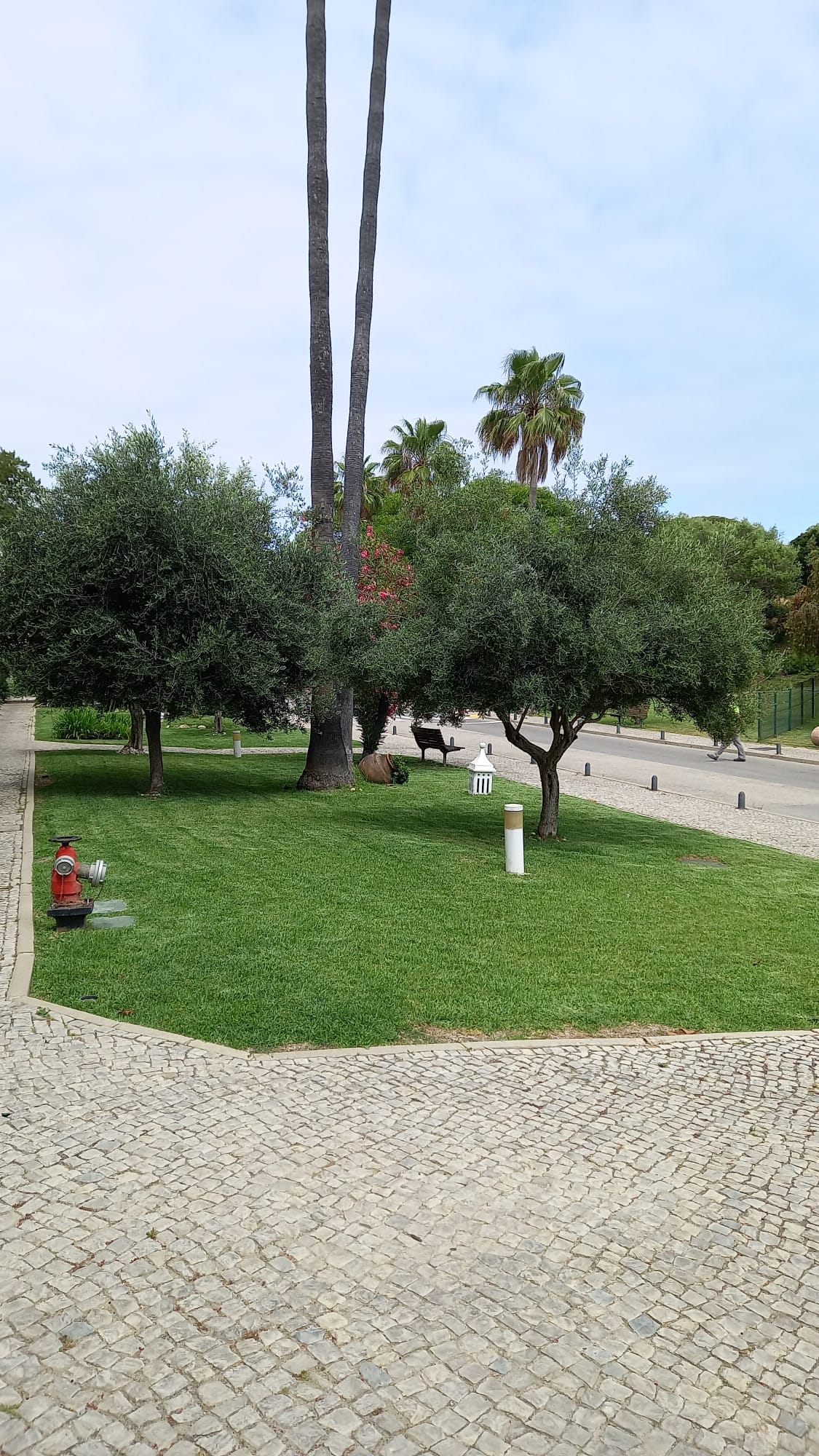 VMPgreen - Vila do Conde - Multiservicios de cuidados del césped