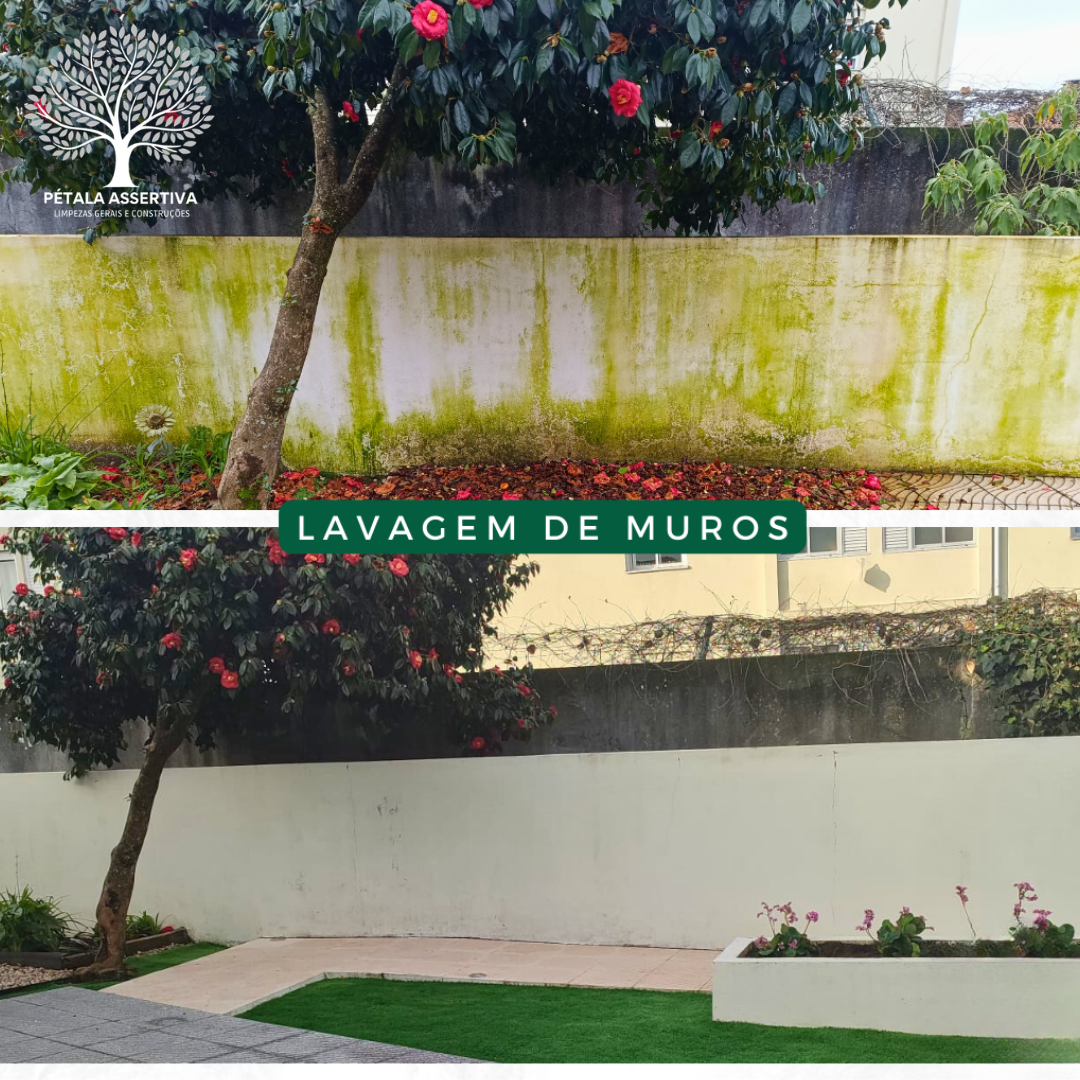 PÉTALA ASSERTIVA - Santa Maria da Feira - Construção de Parede Interior