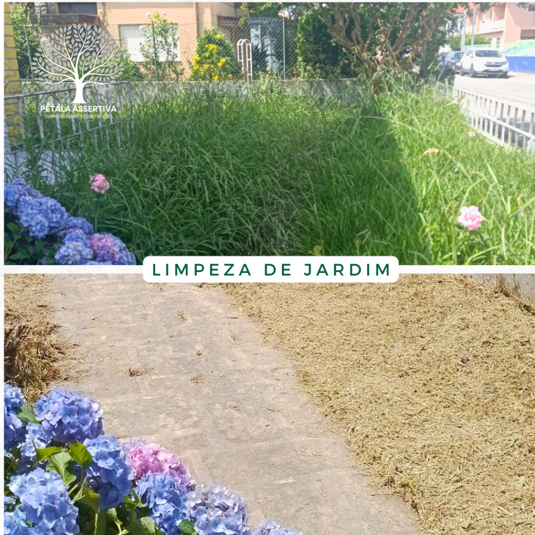 PÉTALA ASSERTIVA - Santa Maria da Feira - Limpeza de Janelas