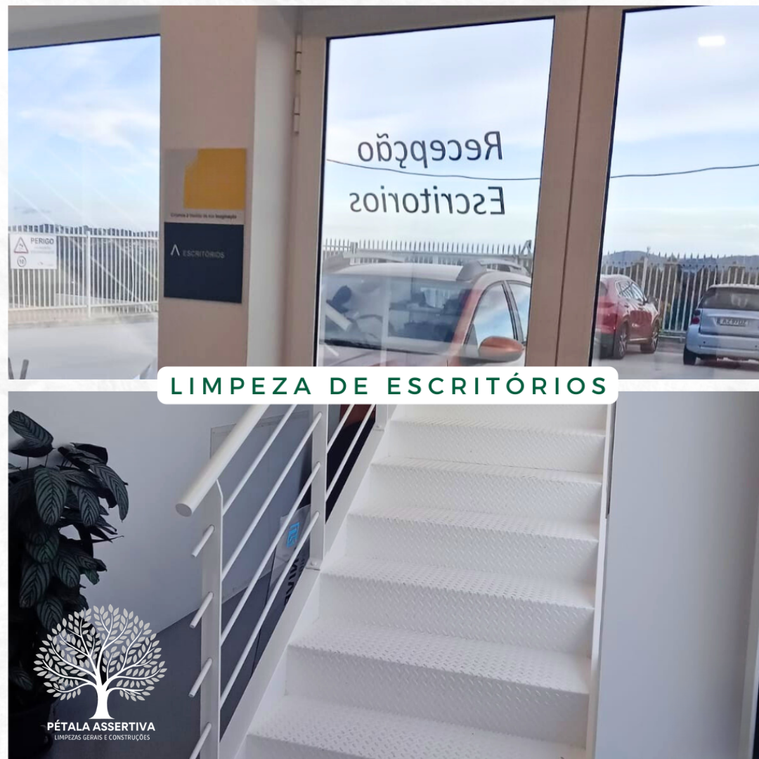 PÉTALA ASSERTIVA - Santa Maria da Feira - Demolição de Construções