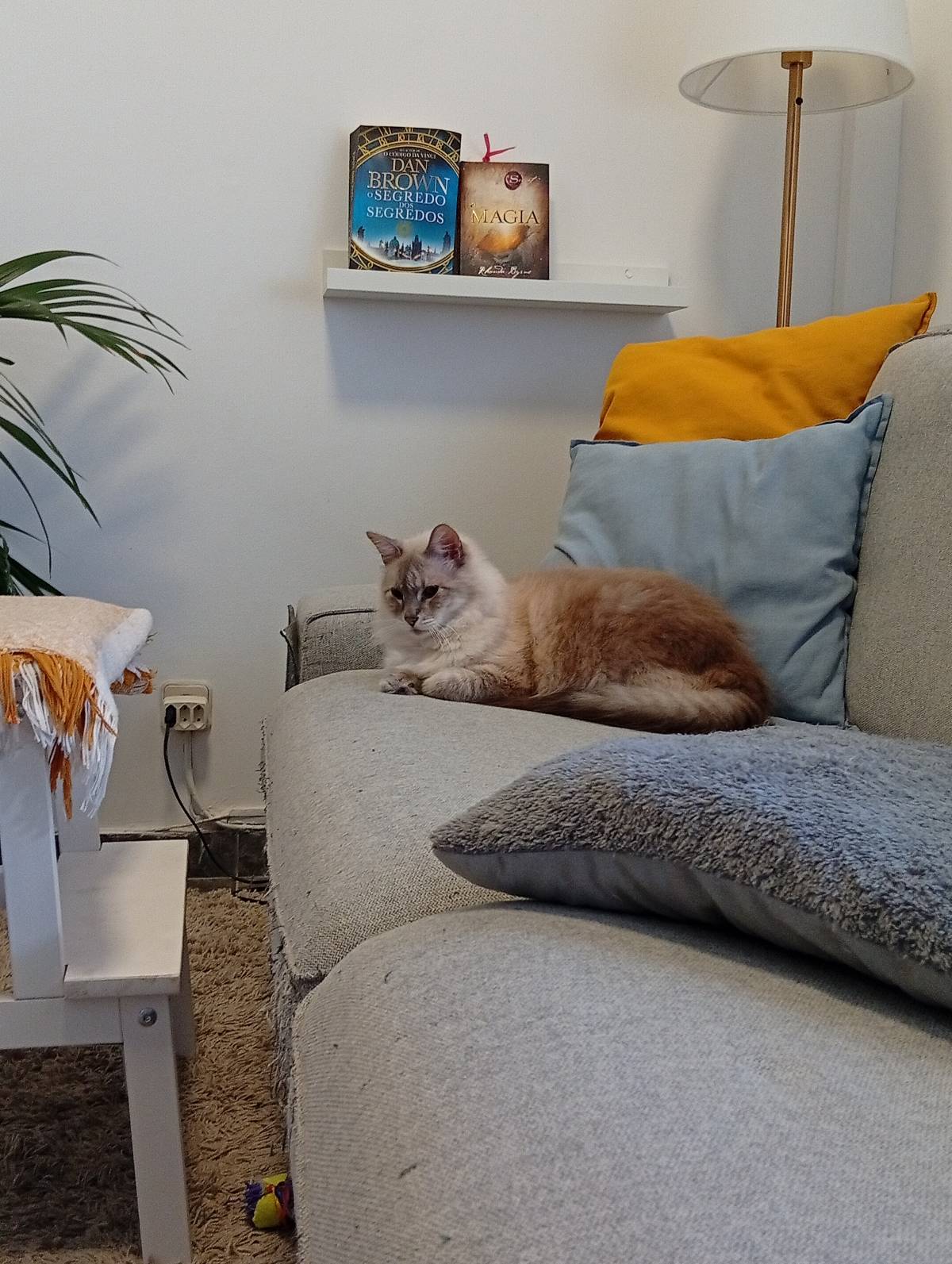 MiPetland - Loures - Baths and Grooming for Animals