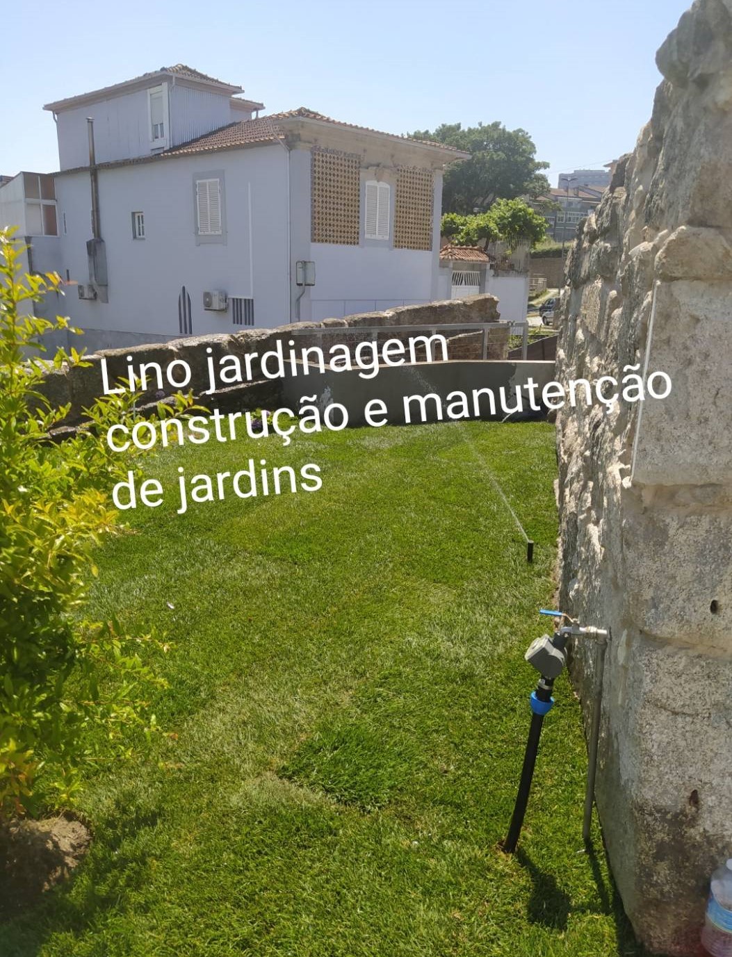 Lino Jardinagem - Maia - Shrub Removal