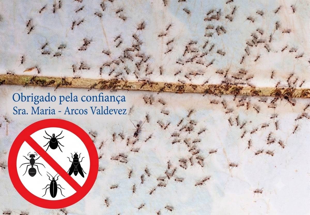 Envia24 - Braga - Canalização