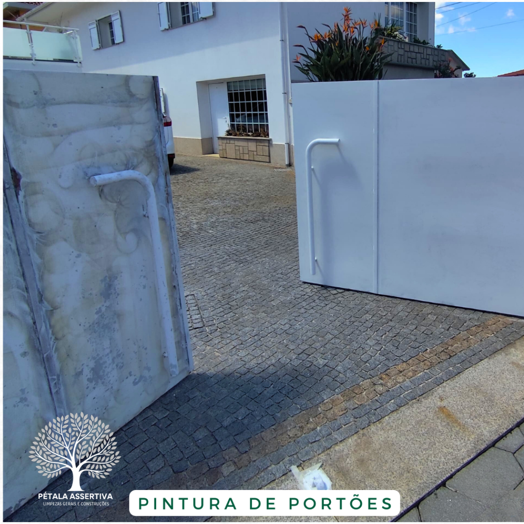 PÉTALA ASSERTIVA - Santa Maria da Feira - Limpeza de Persianas