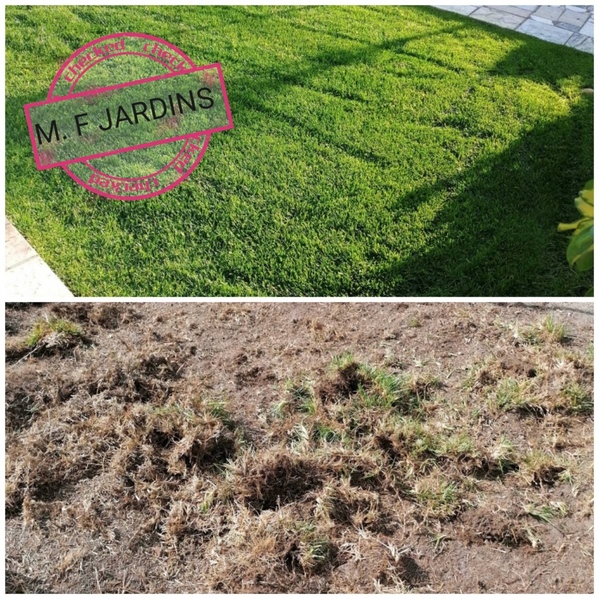 M.F JARDINS - Almada - Limpeza de Terrenos