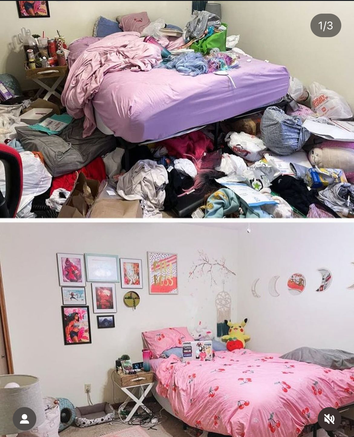 General Seervice - Porto - Property Cleanup