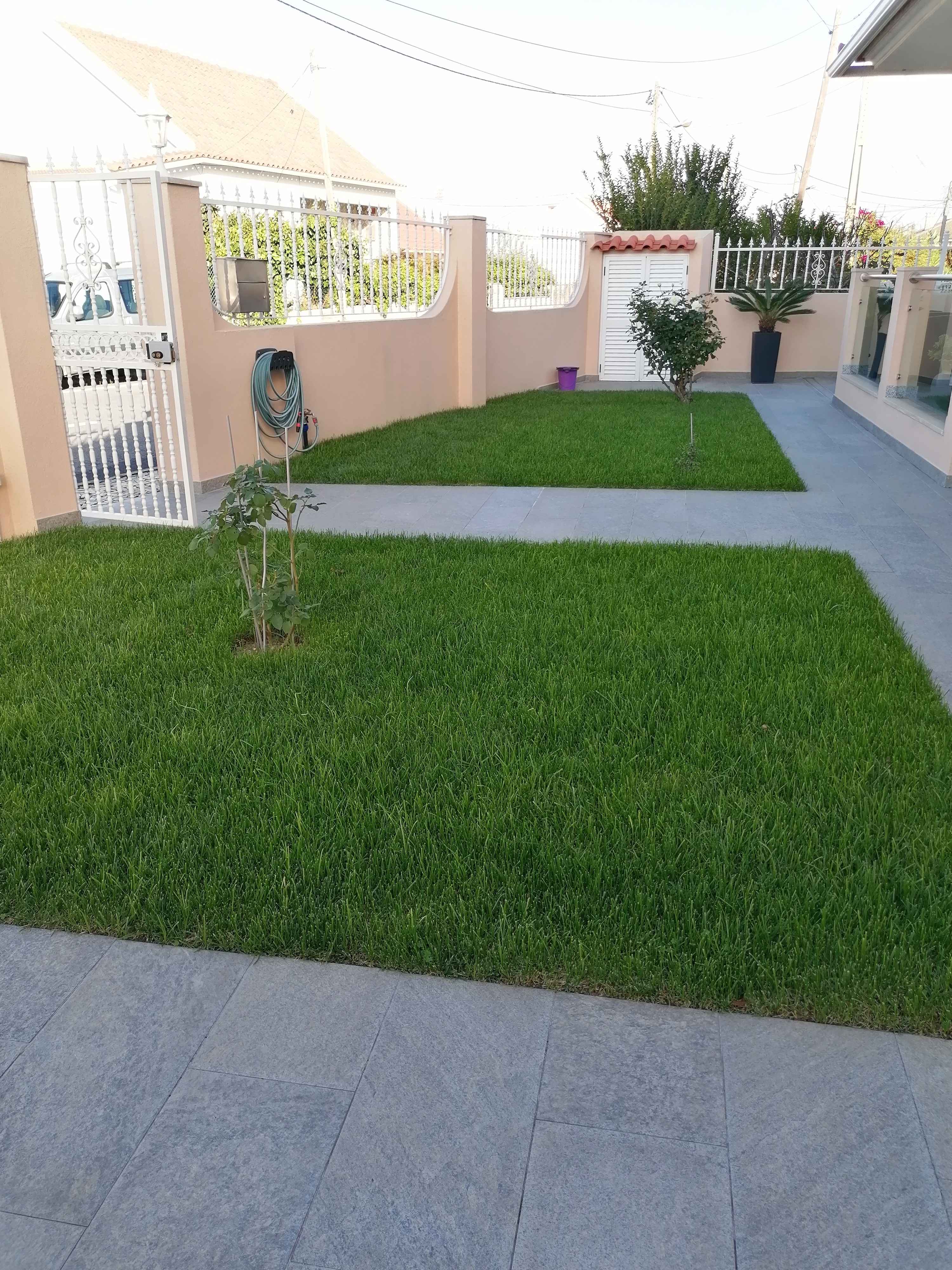 M.F JARDINS - Almada - Remoção de Tronco de Árvore