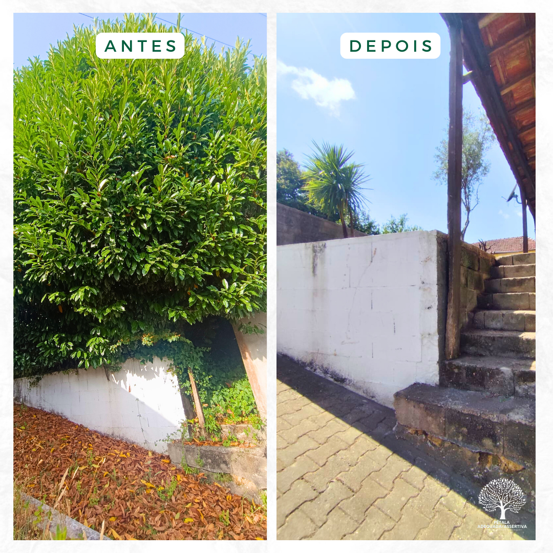 PÉTALA ADEQUADA - Santa Maria da Feira - Limpeza de Cortinados e Persianas