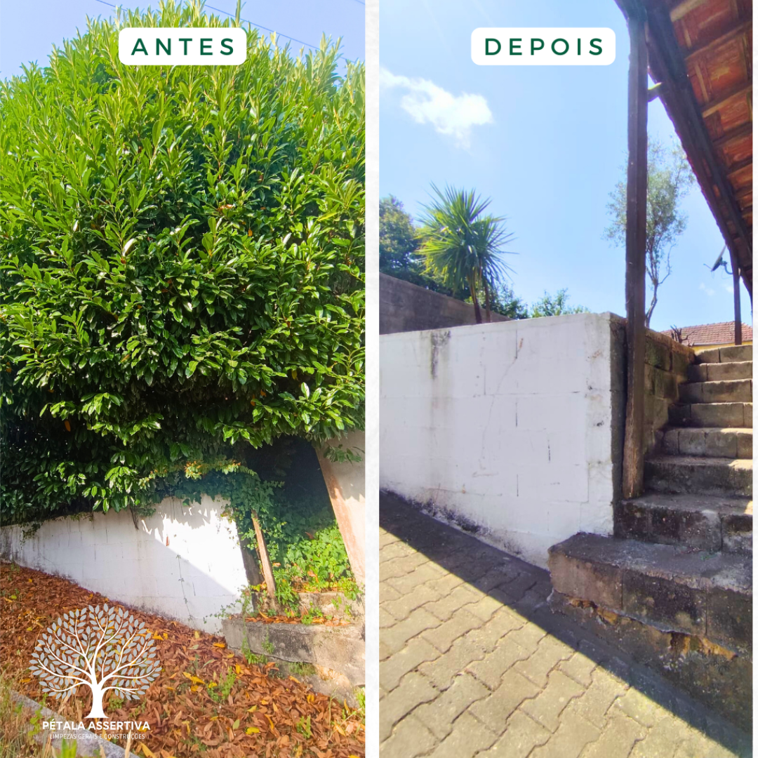 PÉTALA ASSERTIVA - Santa Maria da Feira - Remodelação de Cozinhas