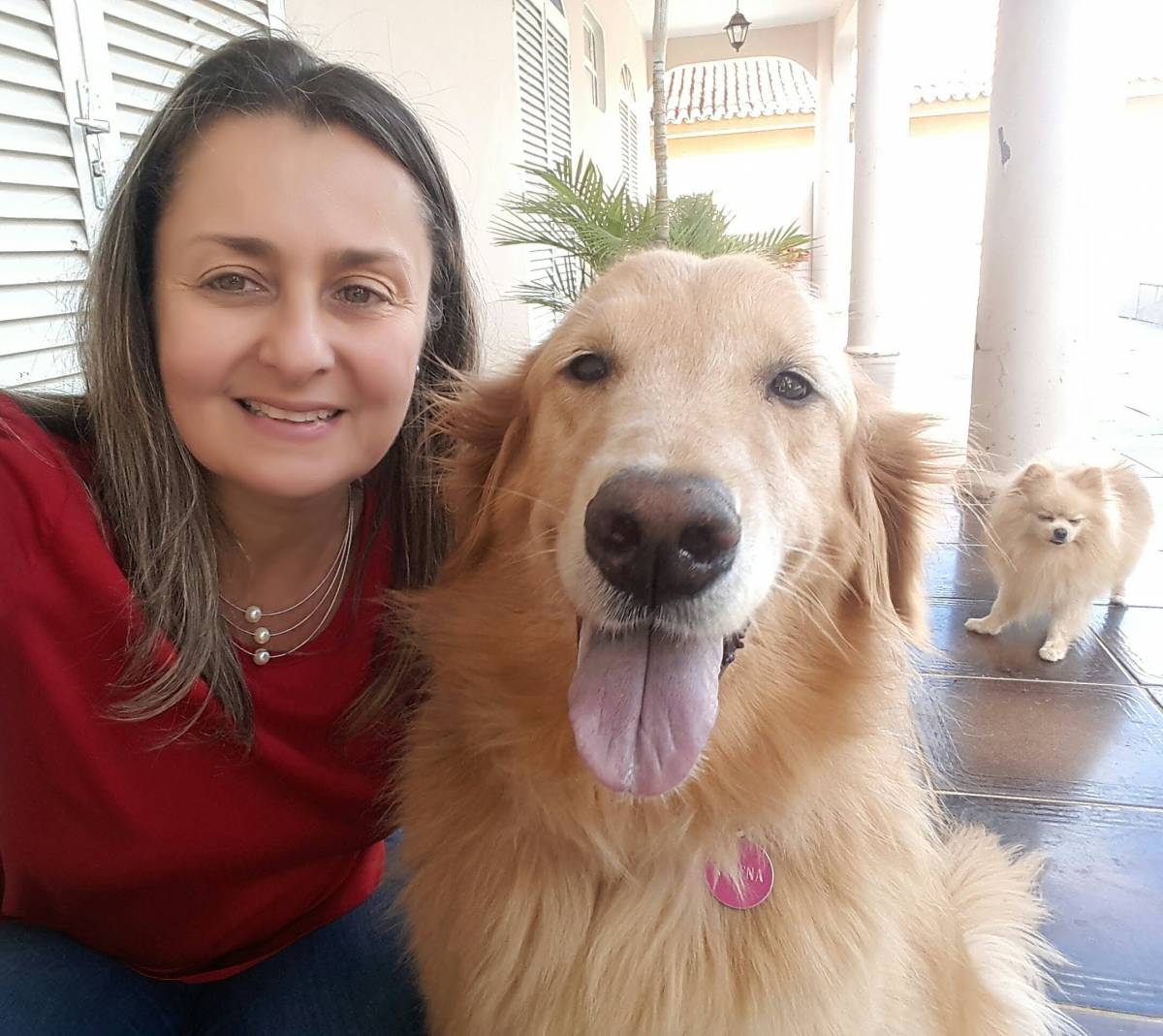 Cláudia Santos Hospedagem Domiciliar - Torres Vedras - Creche para Cães