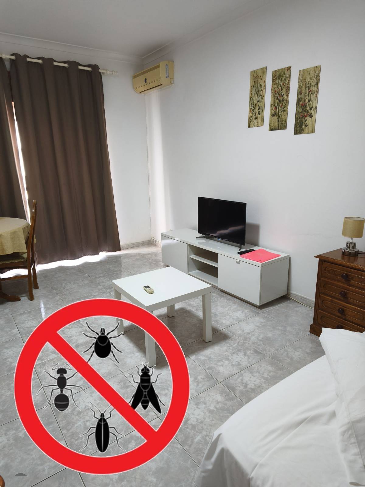 Envia24 - Braga - Reparação de Aspirador