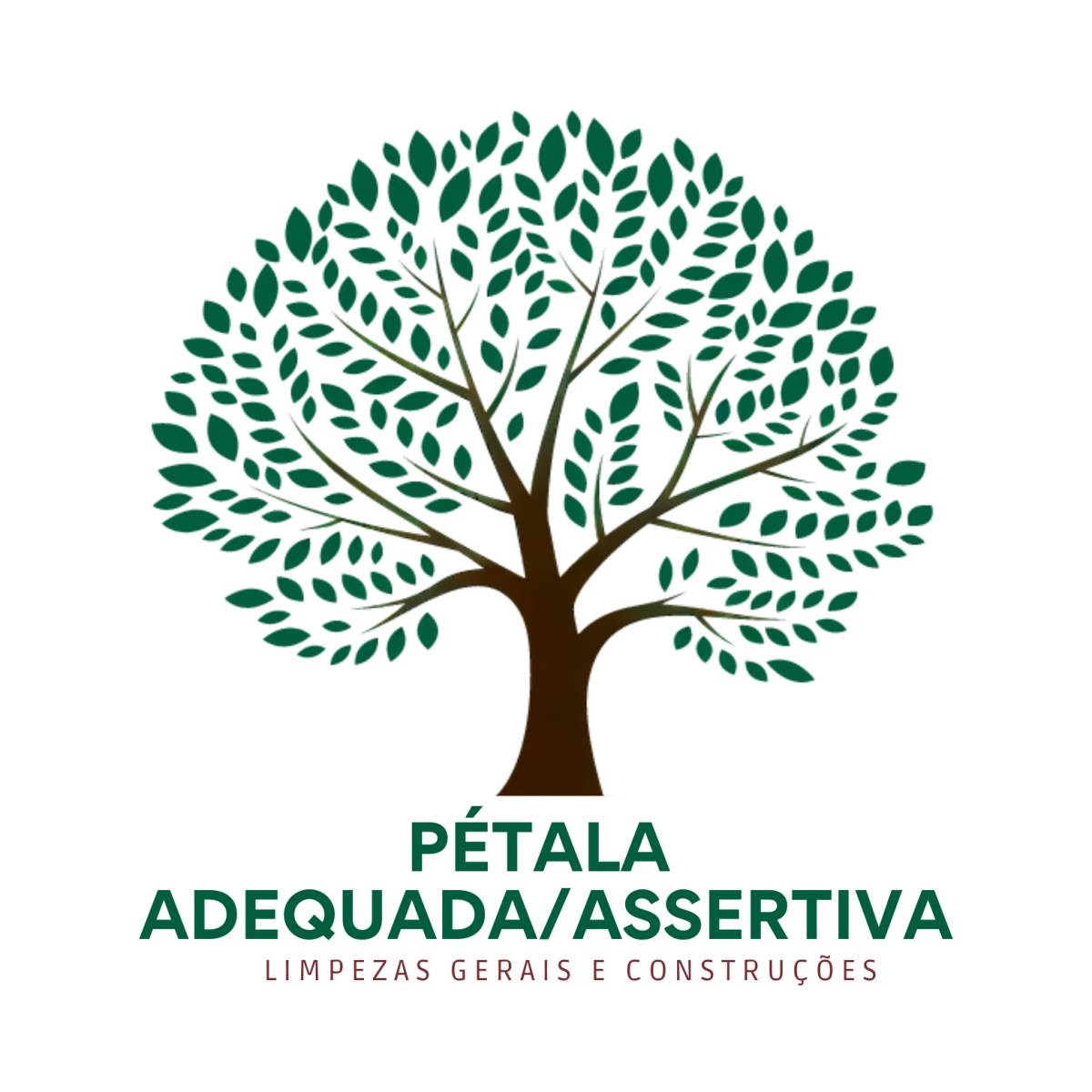 PÉTALA ADEQUADA - Santa Maria da Feira - Organização da Casa