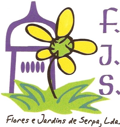 F.J.S.  AUTOCARROS - Almada - Location de voiture citadine