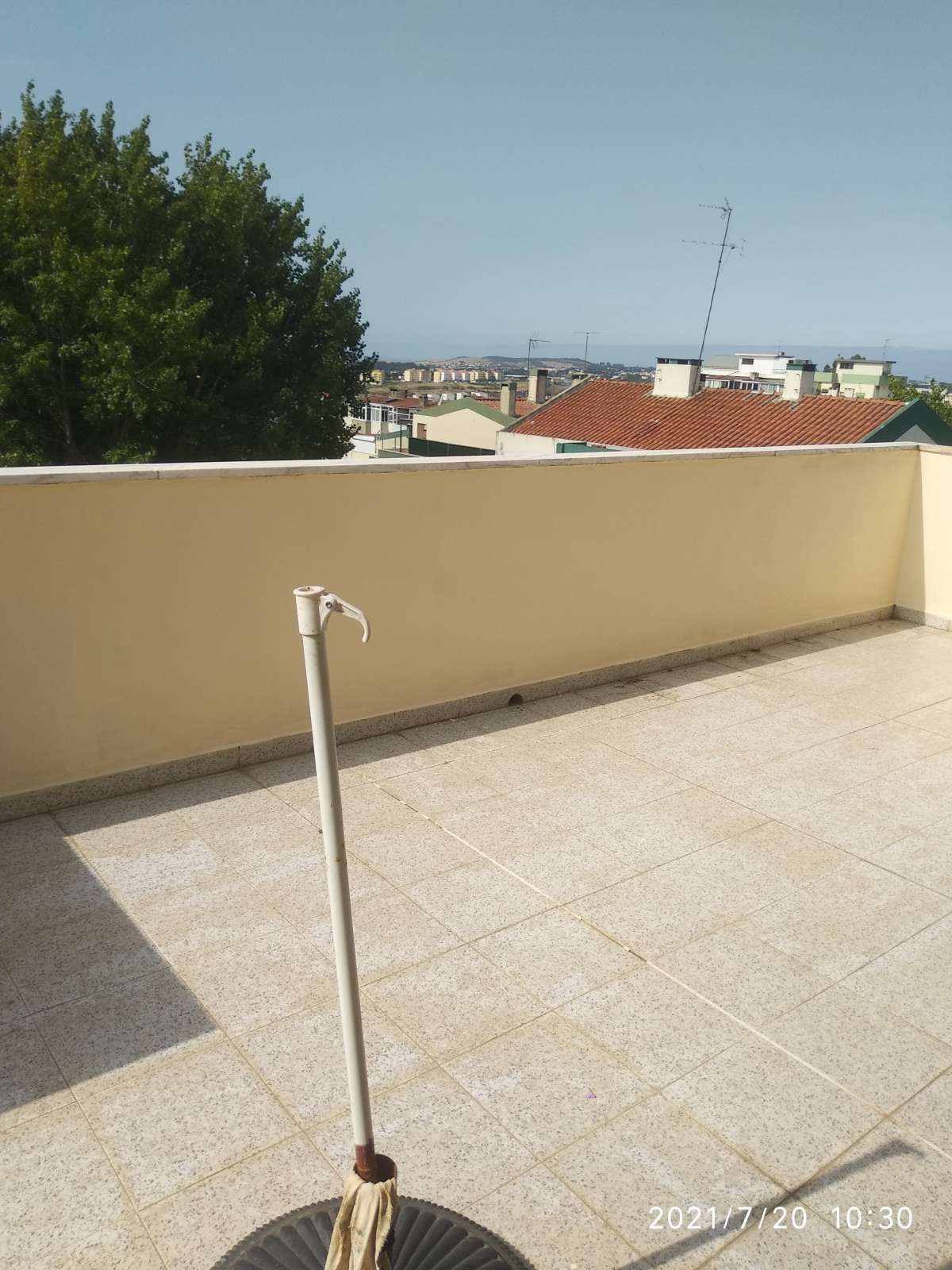 Paulo Alexandre - Sintra - Pest Control Services