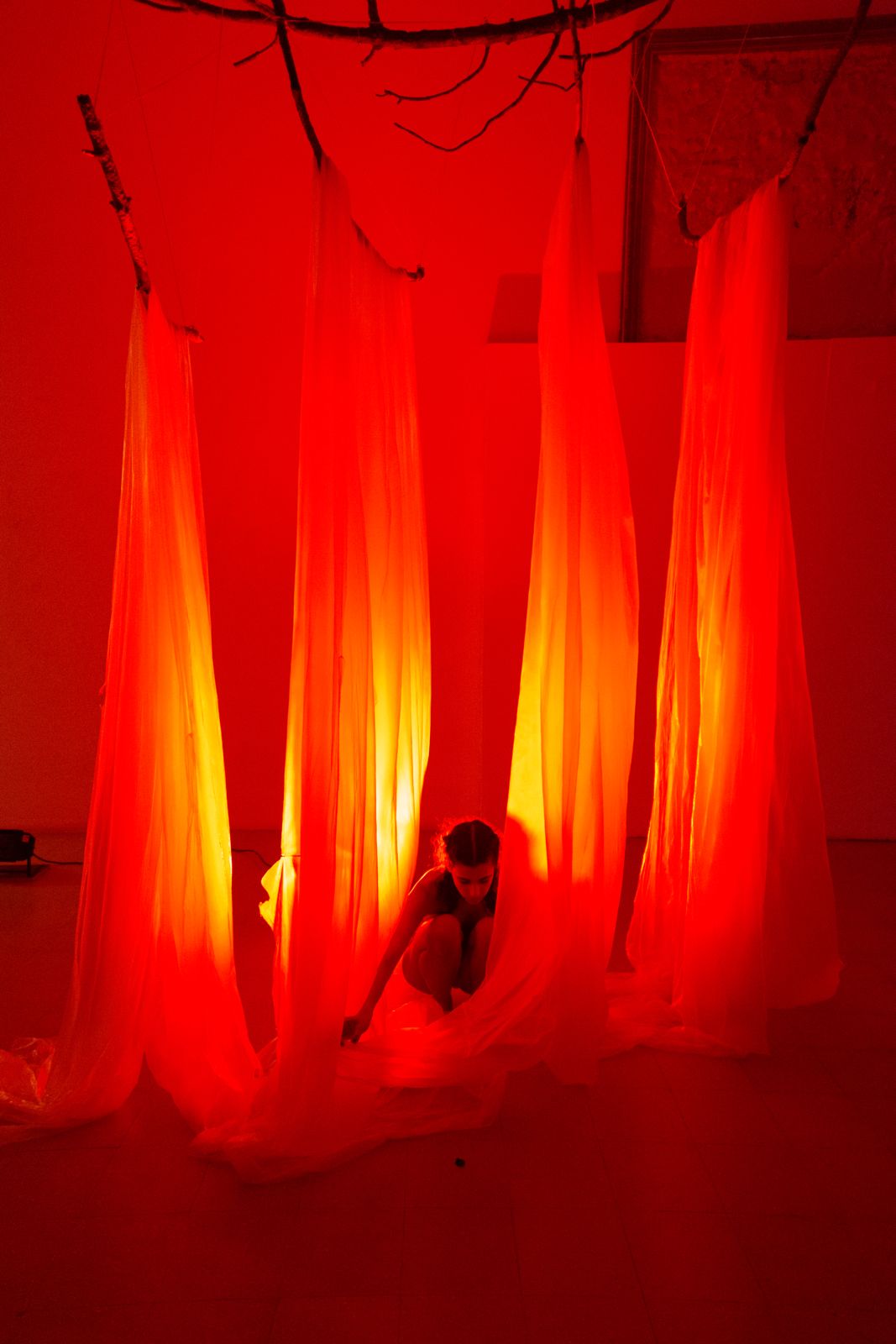 Mariana Costa - Oeiras - Picture Hanging and Art Installation